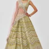 Aisha Rao Lime Green Embellished Lehenga Set