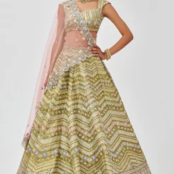 Aisha Rao Lime Green Embellished Lehenga Set
