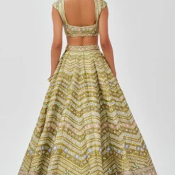 Aisha Rao Lime Green Embellished Lehenga Set 13 Aisha Rao Lime Green Embellished Lehenga Set -Deals Drapizia Store 11723ar16 6