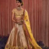 Simar Dugal Yellow Embellished Turkish Lehenga -Deals Drapizia Store 1411sm11 1