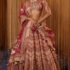 Simar Dugal Pink Sitara Lehenga Set -Deals Drapizia Store 1411sm2 1
