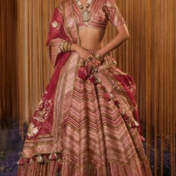 Simar Dugal Pink Sitara Lehenga Set