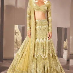 Ritika Mirchandani Olive Gold Ilay Embellished Lehenga Set