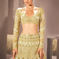 Ritika Mirchandani Olive Gold Ilay Embellished Lehenga Set -Deals Drapizia Store 15523rm32 3