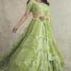 Torani Angoori Meher Paasa Lehenga Set -Deals Drapizia Store 172tor6 1