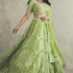 Torani Angoori Meher Paasa Lehenga Set