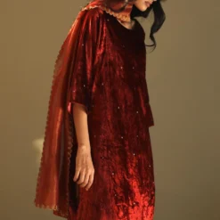 Shorshe Red Velvet Kurta & Tissue Pants Set 9 Shorshe Red Velvet Kurta & Tissue Pants Set -Deals Drapizia Store 1910s11 4