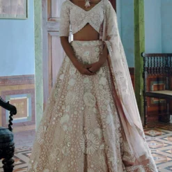 Mishru Nude Pink Iris Embroidered Lehenga Set