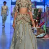 Payal Singhal Powder Blue Embellished Lehenga Set