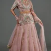 Payal Singhal Rose Pink Embellished Lehenga Set -Deals Drapizia Store 22323ps36 1