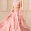 Tarun Tahiliani Pink Cascade Drape Lehenga Set -Deals Drapizia Store 224ttc17 1