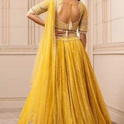 Tarun Tahiliani Mustard Stylised Kalidar Lehenga Set -Deals Drapizia Store 224ttc24 4