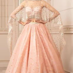 Tarun Tahiliani Blush Asymmetric Organza Brocade Lehenga Set