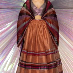 Amit Aggarwal Rust Lehenga With Moulded Blouse & Plisse Drape