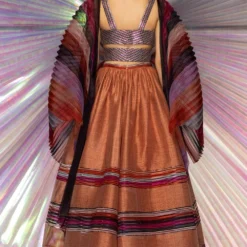 Amit Aggarwal Rust Lehenga With Moulded Blouse & Plisse Drape -Deals Drapizia Store 294aasc8 3