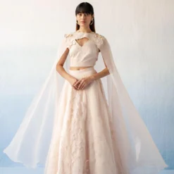 Richa Khemka Light Pink 3-D Embellished Lehenga Set