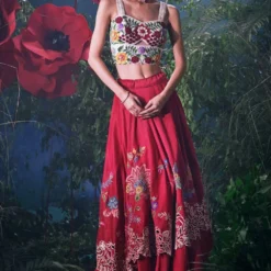 Chandrima Red Floral Embroidered Layered Lehenga