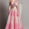 Amit Aggarwal Blush Metallic Winged Lehenga