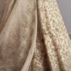 Anushree Reddy Ivory Organza Lehenga Set -Deals Drapizia Store ar004 4