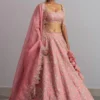 Anushree Reddy Rose Pink Organza Lehenga Set