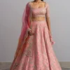 Anushree Reddy Powder Pink Embellished Lehenga Set