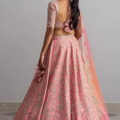 Anushree Reddy Powder Pink Embellished Lehenga Set -Deals Drapizia Store ar009 6
