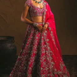 Anushree Reddy Pink Organza Heavy Embroidered Lehenga Set
