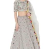 Payal Singhal Pale Blue Lehenga Set With Embroidered Choli 1 Payal Singhal Pale Blue Lehenga Set With Embroidered Choli -Deals Drapizia Store ps fw726 b 1