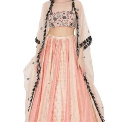 Payal Singhal Coral Embroidered Lehenga Set With A Net Cape