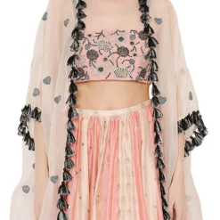 Payal Singhal Coral Embroidered Lehenga Set With A Net Cape -Deals Drapizia Store ps lh0040 4